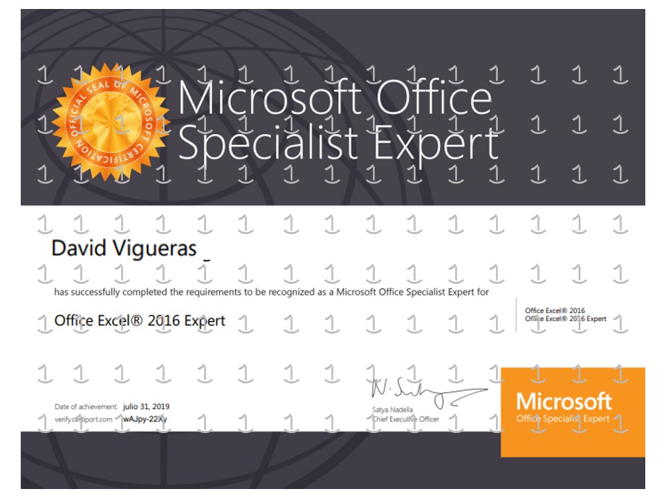 Microsoft Office Specialist: Excel 2016 Expert - David Vigueras